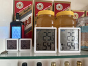 精创TM-1TH高精度温湿度计工业车间室内温度表电子数显校准温度计 实拍图