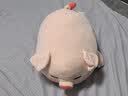 名创优品（MINISO）小猪B-BO弹力超柔趴姿公仔毛绒玩具玩偶抱枕靠枕生日61儿童节礼物 实拍图