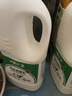 晨光原味风味发酵乳1kg*1瓶 大桶装酸奶 低温酸奶 益生菌发酵风味酸奶 实拍图