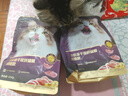 网易严选全价冻干双拼紫金烘焙猫粮 成幼猫高鲜肉无谷护肠胃500g 实拍图