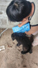 力狼（LILANG）狗粮幼犬粮 博美泰迪柯基金毛边牧全犬种中小型犬通用型狗粮 【1-12月| 鲜肉羊奶】幼犬专用粮4斤 实拍图