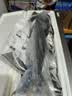 新鲜捕捞青岛大鲅鱼蓝点马鲛鱼渤海燕尾鲐鲅鱼净重无冰衣 5斤【5条装】 实拍图