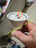 超亮家用led灯泡白光e27螺口大功率LED节能灯泡护眼球泡 白光 15W【两个装】 实拍图