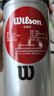 Wilson威尔胜TITANIUM 训练网球罐装 3颗装 实拍图