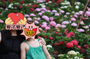 佳能（Canon） 单反人像小痰盂EF定焦镜头 EF 50mm f/1.8 STM 【适用5D 6D等单反】 官方标配【不含多种滤镜 推荐购买套餐】 实拍图