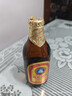 青岛啤酒（TsingTao）金质小棕金 低温酿造 296ml*24瓶 整箱装 实拍图