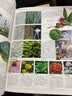 DK探索百科 生命 植物王国+斑斓昆虫+哺乳动物+人体秘密 中小学生课外书 青少年暑期推荐读物 实拍图