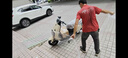 爱玛电动摩托车 辉腾爱玛2026新款电动车自营京东夏季电瓶车长续航爱玛电动车官方旗舰店京东电摩618白 实拍图