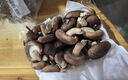 有机汇有机紫甘蓝 紫包菜卷心菜 沙拉轻食榨汁有机蔬菜 新鲜无农残 750g 实拍图