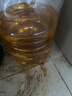 金龙鱼 食用油 非转基因 物理压榨玉米油6.18L（蕴含植物甾醇） 实拍图