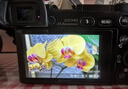 松下S9（18-40mm F4.5-6.3）套机 （Panasonic）全画幅微单 实时Lut 滤镜直出 连接app极速分享-灰银 实拍图