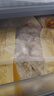 正大雪花鸡排2斤约10片 早餐半成品冷冻鸡胸肉炸鸡排鸡扒酥脆大块鸡肉 实拍图