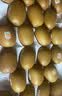 佳沛（zespri）新西兰金果巨大果22粒原箱单果146-175g 端午礼物水果礼盒 猕猴桃 实拍图