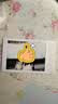 INSTAX富士instax立拍立得 mini相纸 白边双包20张(适用miniSE/11/12/40/90/LiPlay/EVO/Link3) 实拍图