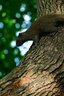 富士（FUJIFILM）XF70-300mmF4-5.6 R LM OIS WR 中长焦变焦镜头 全天候镜身 5.5档防抖 适用于XT4  XT3 实拍图
