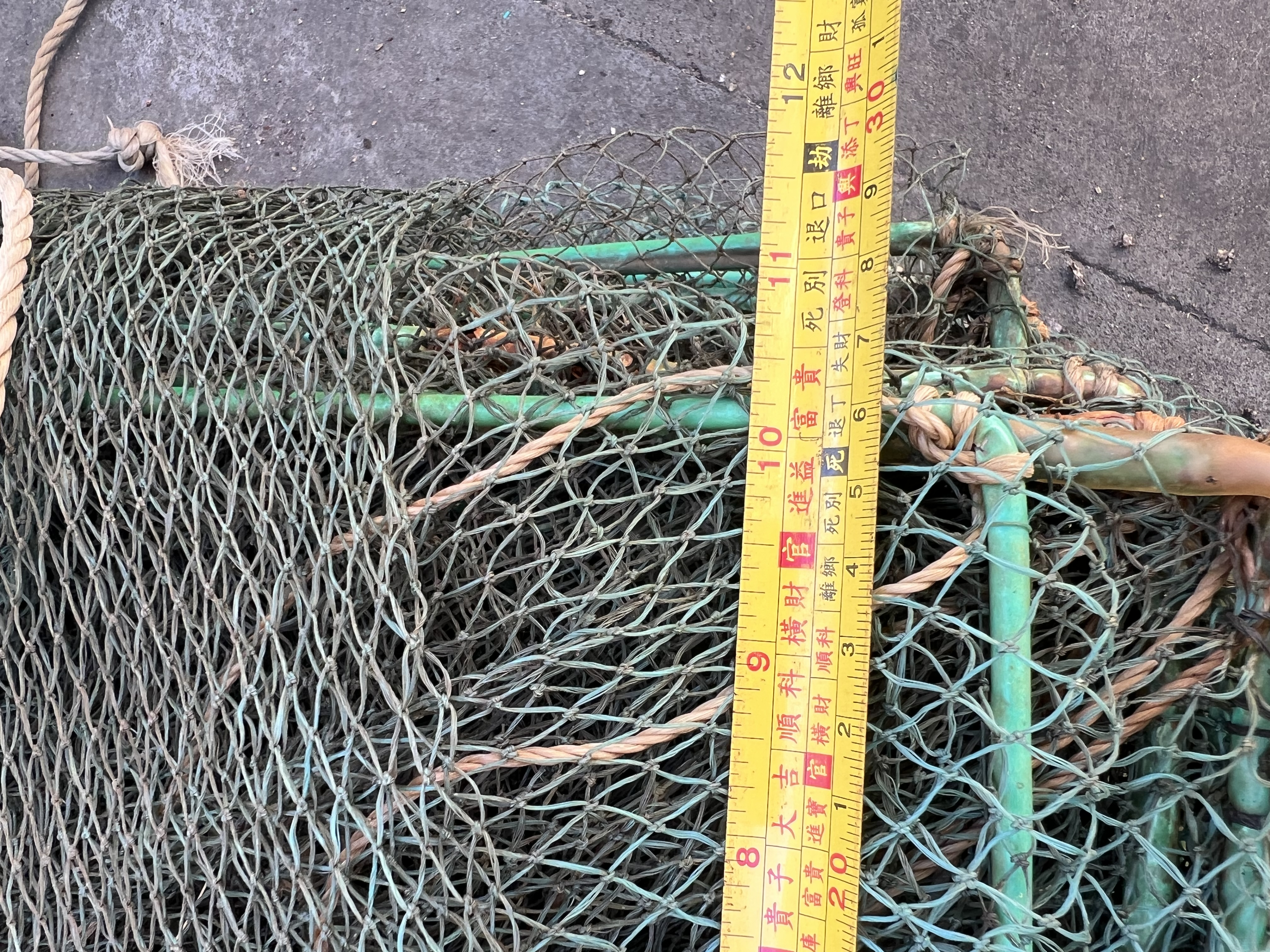 虾笼渔网鱼网龙虾网加厚捕鱼笼鱼笼捕虾网河虾网黄鳝泥鳅龙虾网 大框10米19节10洞全套皮带坠子 实拍图