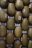 佳沛（zespri）新西兰金果原箱 16粒巨无霸 单果约204-233g 端午节礼物水果礼盒 实拍图
