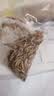 崇雾黄粉虫大麦虫活虫面包虫活体鲜活虫乌龟八哥仓鼠鸟食守宫龙鱼饲料 实拍图