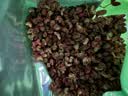 墨源大青盐中药材青海茶卡盐湖天然大粒青盐药粗盐用食热敷理疗包袋粉 花椒 250g*1袋 【新货】 实拍图