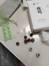 竹林鸟夜莺Z1入耳睡眠耳塞HiFi有线耳机直播K歌电脑游戏电竞无损音乐微型超小动圈高音质安卓适用手机 凝霜白Type-C版+竹韵塞 有麦版 实拍图