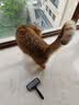WEYES冻干鸭小胸350g桶装宠物猫狗零食大礼包营养适口性好 实拍图
