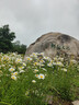 日康（rikang）宝宝餐椅 叫叫椅婴儿学坐椅多功能儿童吃饭餐桌 RK-X2009-1 蓝色 实拍图
