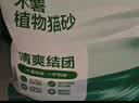 网易严选木薯猫砂不沾底强吸水易结团高分子除臭植物砂 2.5kg*4袋 实拍图
