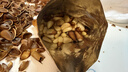 三只松鼠大颗粒东北松子500g/罐装坚果炒货手剥开口A++零食一斤装端午送礼 实拍图