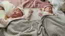 贝瑞加（Babyprints）婴儿连体衣2件装新生儿长袖四季哈衣纯棉爬服护肚蝴蝶衣 黄59 实拍图