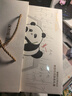 科大讯飞【熊猫花花IP联名款】智能办公本Air 2 8.2英寸电子书阅读器 墨水屏平板电脑 手写笔记本 电纸书 实拍图