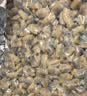 新鲜无沙花甲肉五斤无冰连云港发货蛤蜊肉鲜冻花甲肉贝肉花蛤净重 无沙花甲肉 1500g 实拍图