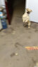 麦富迪狗狗零食 奢华营养鸡肉卷甘薯1200g成幼犬磨牙训练奖励宠物零食 实拍图