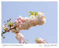 适马（SIGMA）16-300mm f3.5-6.7 DC OS ｜Contemporary 半画幅 远摄变焦镜头 旅游风光人像（索尼E卡口） 实拍图