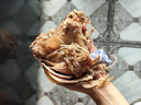 北海印象【北海产地】鱿鱼干A3 500g 淡干烧烤手撕芥末干货 源头直发包邮 实拍图