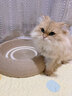 蒯蒯猫抓板猫窝猫抓板窝四季通用剑麻夏季猫窝不掉屑猫抓盆大号耐磨窝 52CM圆形全剑麻猫抓板【深睡款】 晒单实拍图