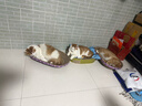 皇家幼猫猫粮 幼猫奶糕 K36 通用粮 4-12月 10KG 实拍图