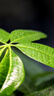 唯卓仕DG-C微距环佳能EOS单反数码相机近摄接圈适用于佳能5D4/5D3/6D/90D/70D相机镜头摄影微距转接环 DG-C 实拍图
