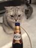kronenbourg 1664【周翊然同款】百香果味啤酒330ml*9瓶小麦风味精酿整箱装啤酒 实拍图