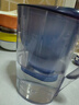 碧然德（BRITA） 家用滤水壶 净水壶滤芯 Maxtra 多效滤芯 6枚装 实拍图
