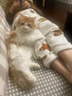 Orijen渴望猫粮试用装 成猫幼猫 全价通用无谷原味鸡肉进口85g效期26/12 实拍图