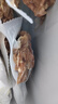 恒都 国产精选调理牛肉片150g*4 生鲜牛肉 火锅食材 煎炒烧烤 实拍图
