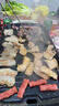 小熊（Bear）烤肉锅电烤盘 家用电烧烤炉 电烤炉多功能锅烤串烤肉一体不沾烤串机可拆烧烤炉DKL-H21P1 实拍图
