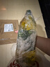 欧丽薇兰 Olivoila【保真橄榄油】食用油 压榨 纯正橄榄油1.6L  实拍图
