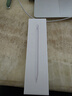 Apple/苹果 Pencil(USB-C) 磁吸触控笔手写笔苹果笔电容笔iPad笔 适用iPad 11/mini/Pro/Air 实拍图