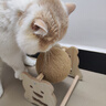 HELLOJOY逗猫咪玩具自嗨解闷猫抓板幼猫爪板小猫抓球耐抓不掉屑耐磨猫爬架 实拍图