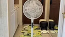 美的（Midea）【幸运草安睡1S】一级能效直流变频声控电风扇家用遥控卧室静音落地扇台式桌面抗菌大风力转页扇 实拍图
