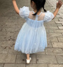 迪士尼艾莎公主裙子女童连衣裙2026夏季新款网纱爱莎演出礼服六一送礼物 实拍图
