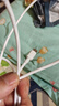京东京造PD60W苹果数据线快充线苹果17/16充电线Type-C数据线双头车载适用iPhone安卓手机平板笔记本 1.5米 实拍图