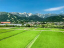 得力骑行打气筒高压打气筒自行车摩托电动车篮球充气泵英美法嘴通用黑 实拍图