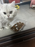 皇家猫粮 英短成猫粮 BS34 通用粮 12月以上 10KG 实拍图